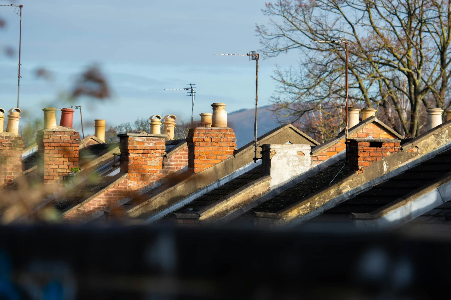 Residential homes and rooftops